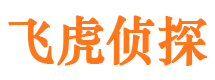 安徽市婚外情调查